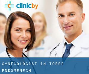 Gynecologist in Torre Endoménech