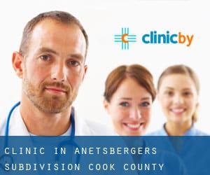 clinic in Anetsberger's Subdivision (Cook County, Illinois)