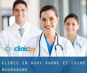 clinic in Auxy (Saône-et-Loire, Bourgogne)