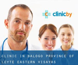 clinic in Balogo (Province of Leyte, Eastern Visayas)