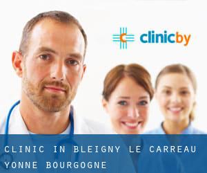 clinic in Bleigny-le-Carreau (Yonne, Bourgogne)