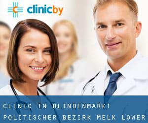 clinic in Blindenmarkt (Politischer Bezirk Melk, Lower Austria)