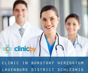 clinic in Borstorf (Herzogtum Lauenburg District, Schleswig-Holstein)