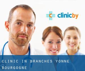 clinic in Branches (Yonne, Bourgogne)