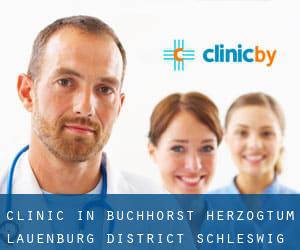 clinic in Buchhorst (Herzogtum Lauenburg District, Schleswig-Holstein)