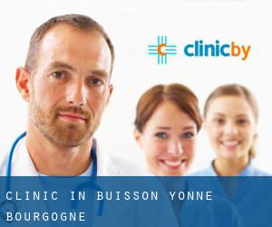clinic in Buisson (Yonne, Bourgogne)