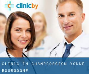 clinic in Champcorgeon (Yonne, Bourgogne)