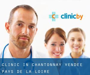 clinic in Chantonnay (Vendée, Pays de la Loire)