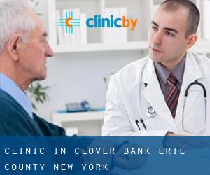 clinic in Clover Bank (Erie County, New York)