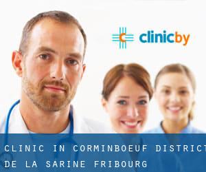 clinic in Corminboeuf (District de la Sarine, Fribourg)