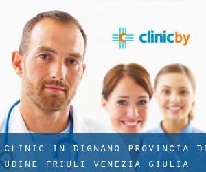 clinic in Dignano (Provincia di Udine, Friuli Venezia Giulia)