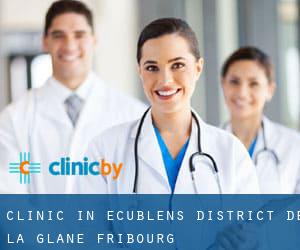 clinic in Ecublens (District de la Glâne, Fribourg)