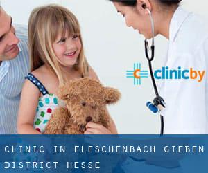 clinic in Fleschenbach (Gießen District, Hesse)