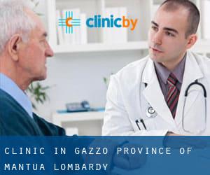 clinic in Gazzo (Province of Mantua, Lombardy)