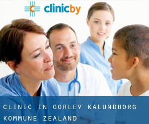 clinic in Gørlev (Kalundborg Kommune, Zealand)