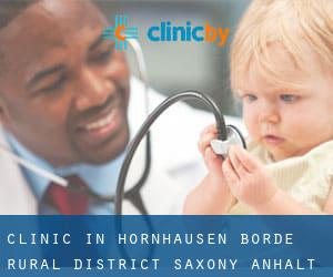 clinic in Hornhausen (Börde Rural District, Saxony-Anhalt)