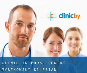 clinic in Poraj (Powiat myszkowski, Silesian Voivodeship)