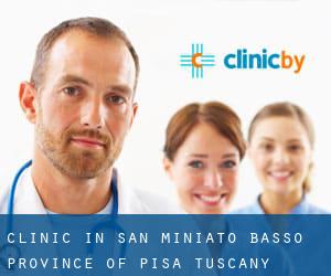clinic in San Miniato Basso (Province of Pisa, Tuscany)