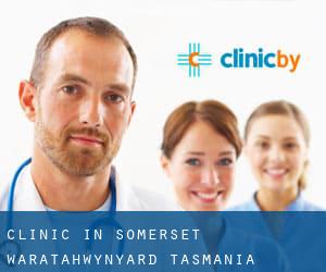 clinic in Somerset (Waratah/Wynyard, Tasmania)