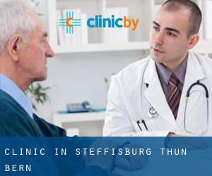 clinic in Steffisburg (Thun, Bern)