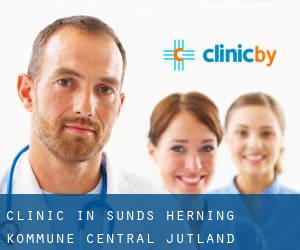 clinic in Sunds (Herning Kommune, Central Jutland)