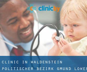 clinic in Waldenstein (Politischer Bezirk Gmünd, Lower Austria)